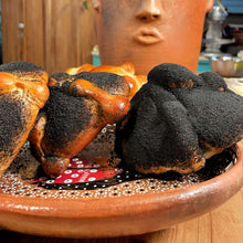 Load image into Gallery viewer, Pan de Muerto in person baking experience for Fer (2 guests) 🇲🇽 Saturday 10/11 2025