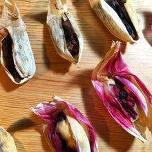 Load image into Gallery viewer, PRE-RECORDED 🎥 Sweet Winter Tamales online class! 🍫